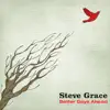 Steve Grace - Better Days Ahead