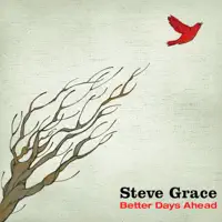Better Days Ahead — Steve Grace