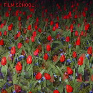 Film School