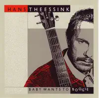 Stones In My Passway — Hans Theessink
