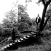 Timber Timbre - Timber Timbre artwork