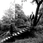 Timber Timbre