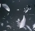 Lack Of Lights