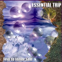 Essential Trip - The Machine (Outro)