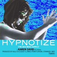 Hypnotize (The Desi Mixes Bundle) - EP - Karen David