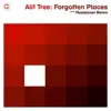 Alif Tree - Forgotten Places (Moodymann Remix)