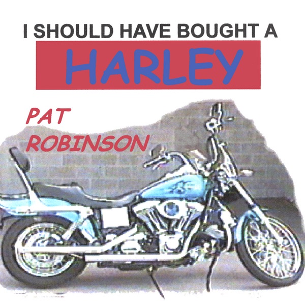 I Should Have Bought a Harley