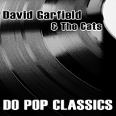 David Garfield & the Cats Do Pop Classics