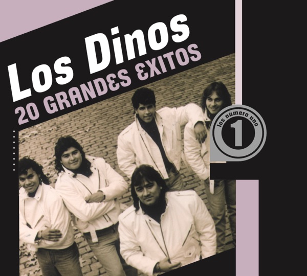 20 Grandes Exitos artwork