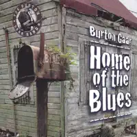 Hole in My Heart — Burton Gaar