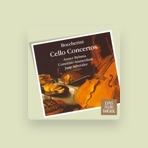 Concerto Amsterdam