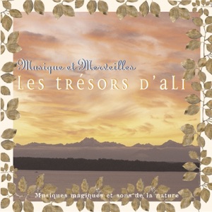 Musique et merveilles : Les trésors d'Ali