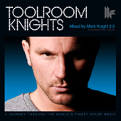 Music Matters (Mark Knight Remix) [feat. Cass Fox]