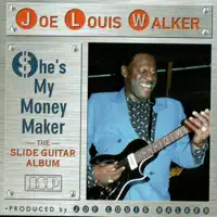 Borrowed Time — Joe Louis Walker
