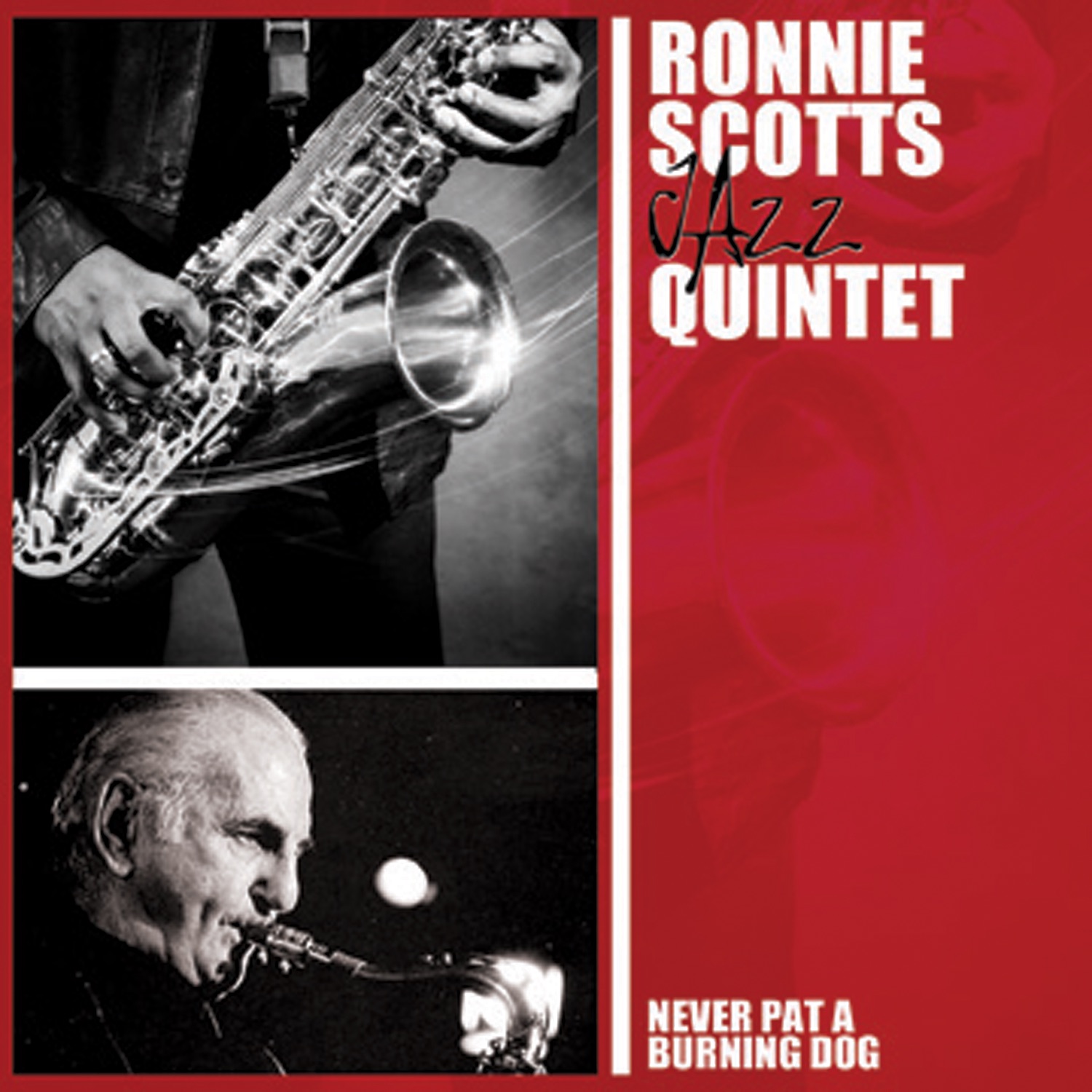 Never Pat a Burning Dog