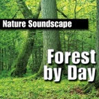Serenity (Forest Nature Sounds)