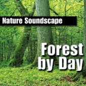 Forest By Day (Nature Sounds Only)