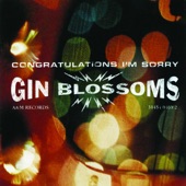 Gin Blossoms - As Long As It Matters