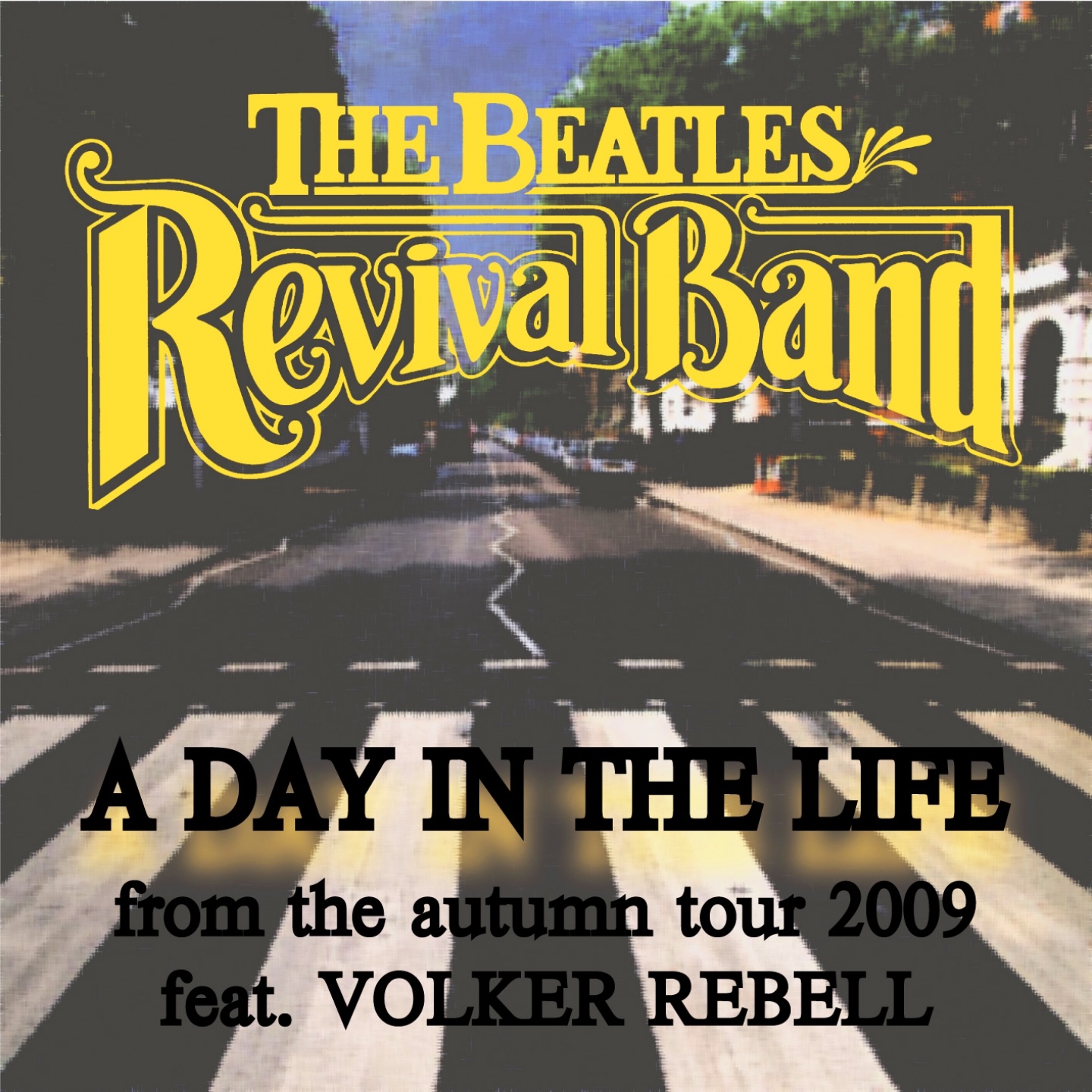 A Day in the Life (Live 2009) [feat. Volker Rebell]