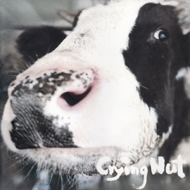 Luxembourg Crying Nut