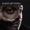 DJ Jazzy Jeff (feat.CL Smooth) - All I Know