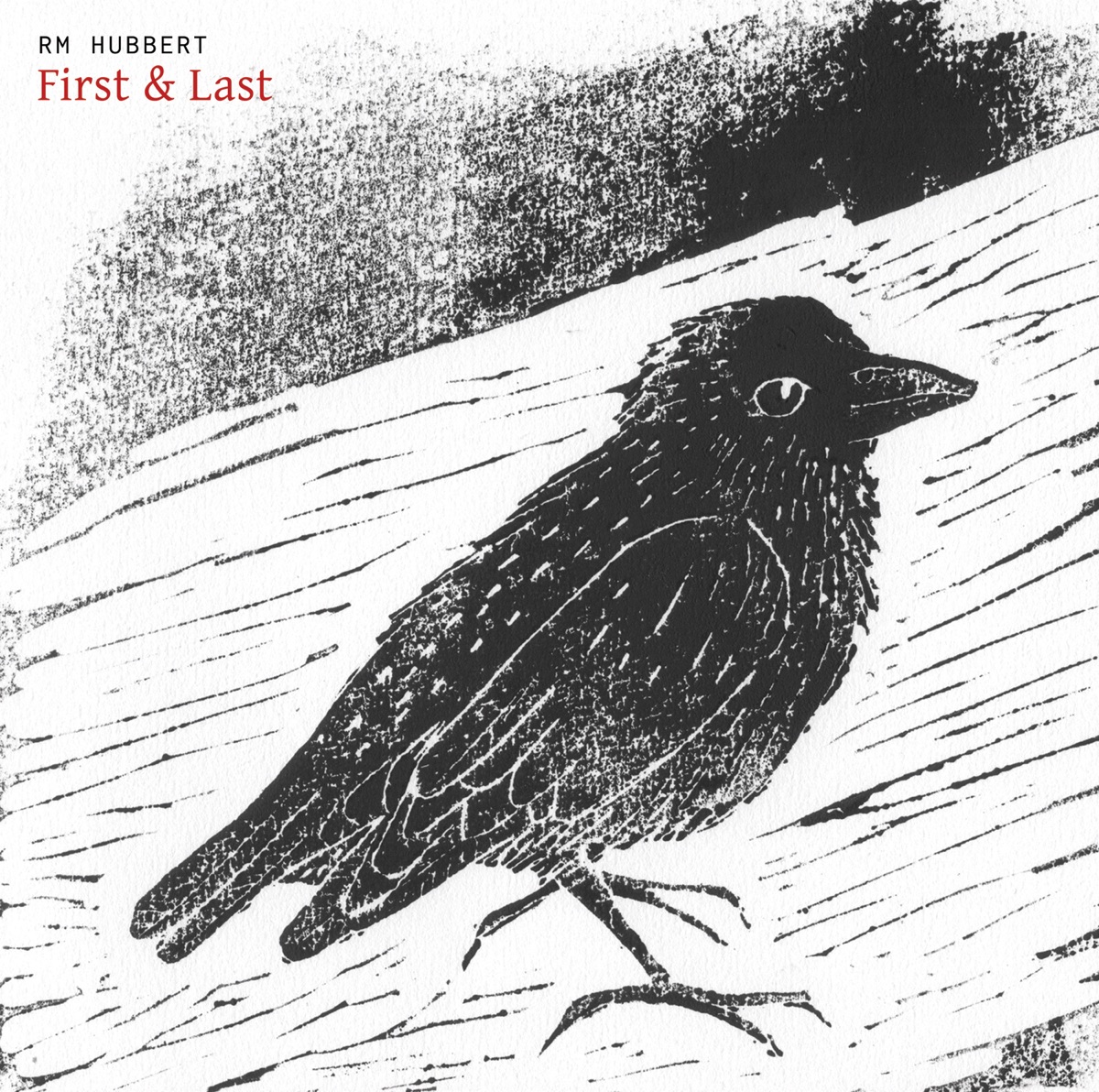 Pochette du titre Skyreburn
