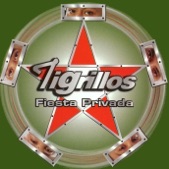 Los Tigrillos - Entre Suspiro y Suspiro