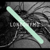LONDONYMO -YELLOW MAGIC ORCHESTRA LIVE IN LONDON 15/6 08- - YELLOW MAGIC ORCHESTRA