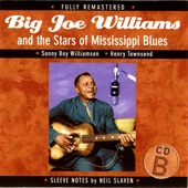 Big Joe Williams - King Biscuit Stomp