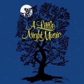 A Little Night Music (Original Broadway Cast Recording) artwork