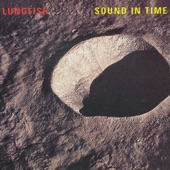 Lungfish - The Cipher