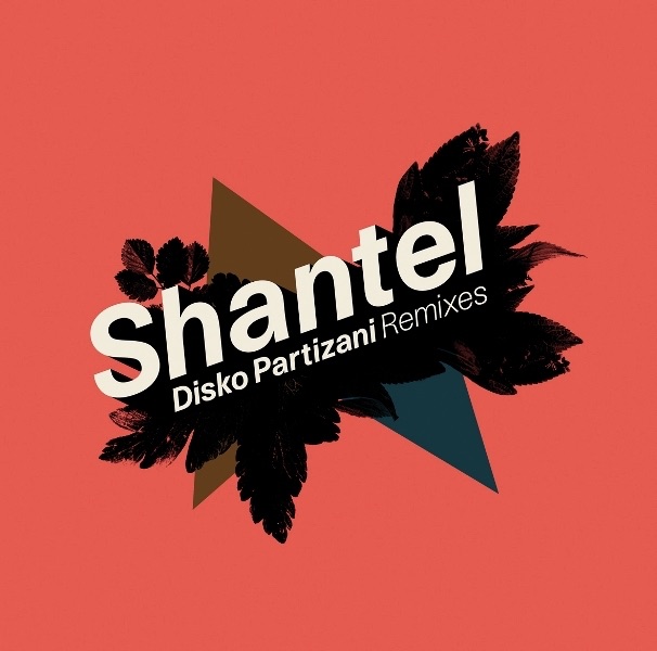Disko Partizani Remixes cover art