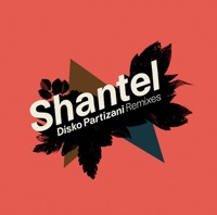 Disko Partizani Remixes - Shantel