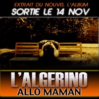 Allo maman - Single - L'Algérino