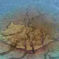 Breathing in The Deep