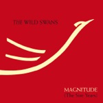 The Wild Swans - Bitterness