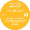 STILL IN LOVE (MICKY MORE &amp; ANDY TEE HORNS MIX)
