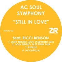 Still in Love (Micky More & Andy Tee Horns Mix)