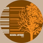 Antheme 02 - Studies In Detailed Design (Attention II Detail Disorder Remixed) - EP