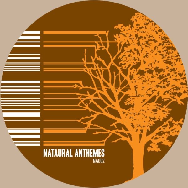 Antheme 02 - Studies In Detailed Design (Attention II Detail Disorder Remixed) - EP