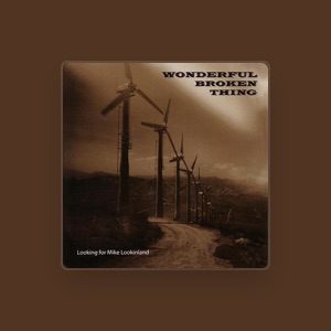 Wonderful Broken Thing