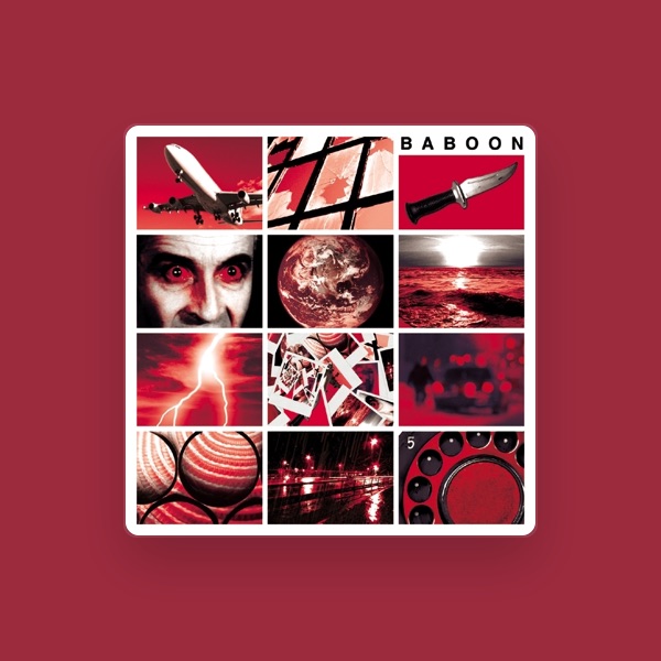 Baboon's avatar