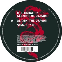 Slayin the Dragon - H-Foundation