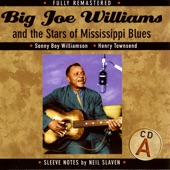 Big Joe Williams and the Stars of Mississippi Blues (A)