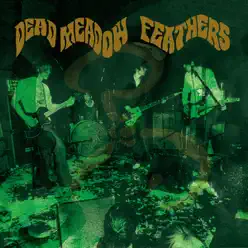 Feathers - Dead Meadow