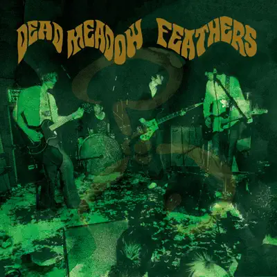 Feathers - Dead Meadow Feathers - Dead Meadow