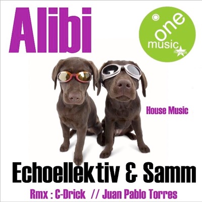 Alibi (Remixes) - Single