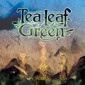 Tea Leaf Green - Steal Your Imagination