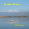 Charles-Marie Widor Toccata from Symphony V - Charles Marie Widor Wonderful Peace