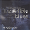 Incredible Blues - Nii Ayikwei Parkes